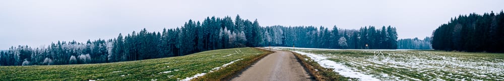 Panorama einer gewundenen Straße durch grüne Felder mit Schneeresten. Im Hintergrund ein Wald mit Rauhreif bedeckten Bäumen unter bewölktem Himmel.