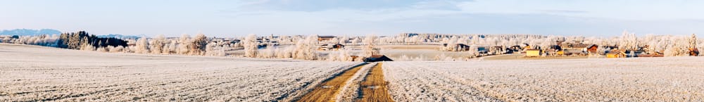 Weites Winterpanorama bei Föching: Frostbedeckte Felder und Bäume umgeben Häuser, ein Feldweg führt durch die Landschaft. Im Hintergrund sind die Alpen sichtbar.