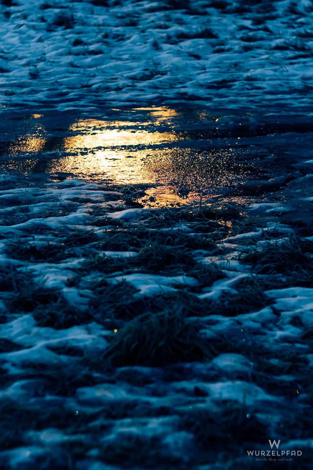 Nahaufnahme einer winterlichen Landschaft mit Schnee und Eis. Eine goldene Lichtreflexion auf einer Eisfläche kontrastiert mit dem dunklen Blau der Umgebung und gefrorenem Gras.