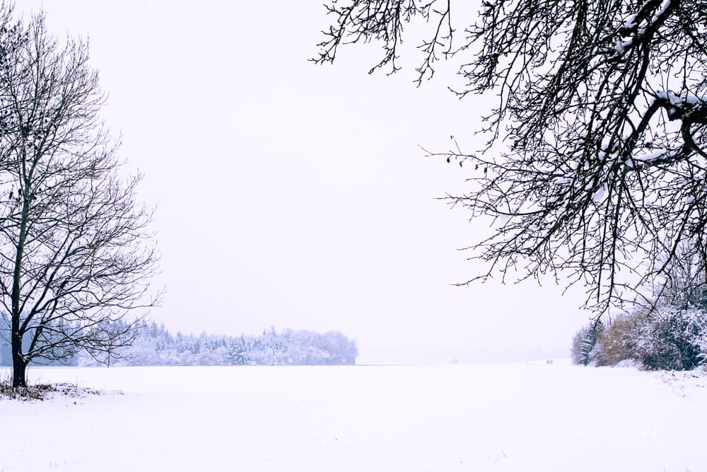 Verschneiter Blick nach Laufzorn: Weites, schneebedecktes Feld unter hellem Himmel, umrahmt von kahlen Bäumen und einem verschneiten Wald im Hintergrund.