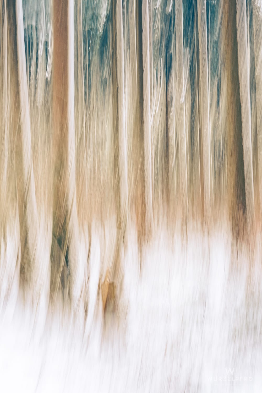 Abstrakte Aufnahme eines Winterwaldes mit vertikalen Bewegungsunschärfen. Braune und beige Baumstämme verschwimmen über einer weißen Schneedecke.