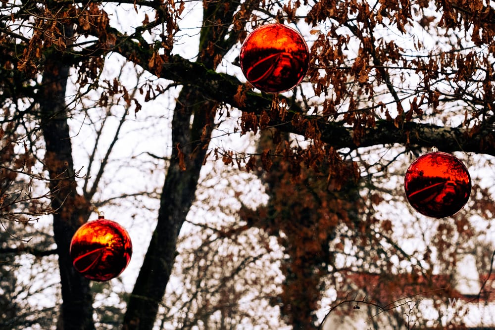 Drei leuchtend rote Christbaumkugeln hängen an den kahlen Ästen eines Baumes mit braunen Blättern im Winter. Die Kugeln reflektieren die Umgebung.