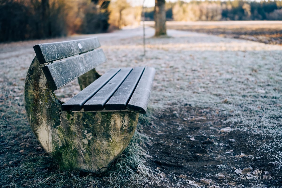 Eine frostbedeckte Parkbank steht verlassen in der Morgenkälte auf einer Wiese mit Reif. Im Hintergrund sind Bäume und ein Weg zu sehen.