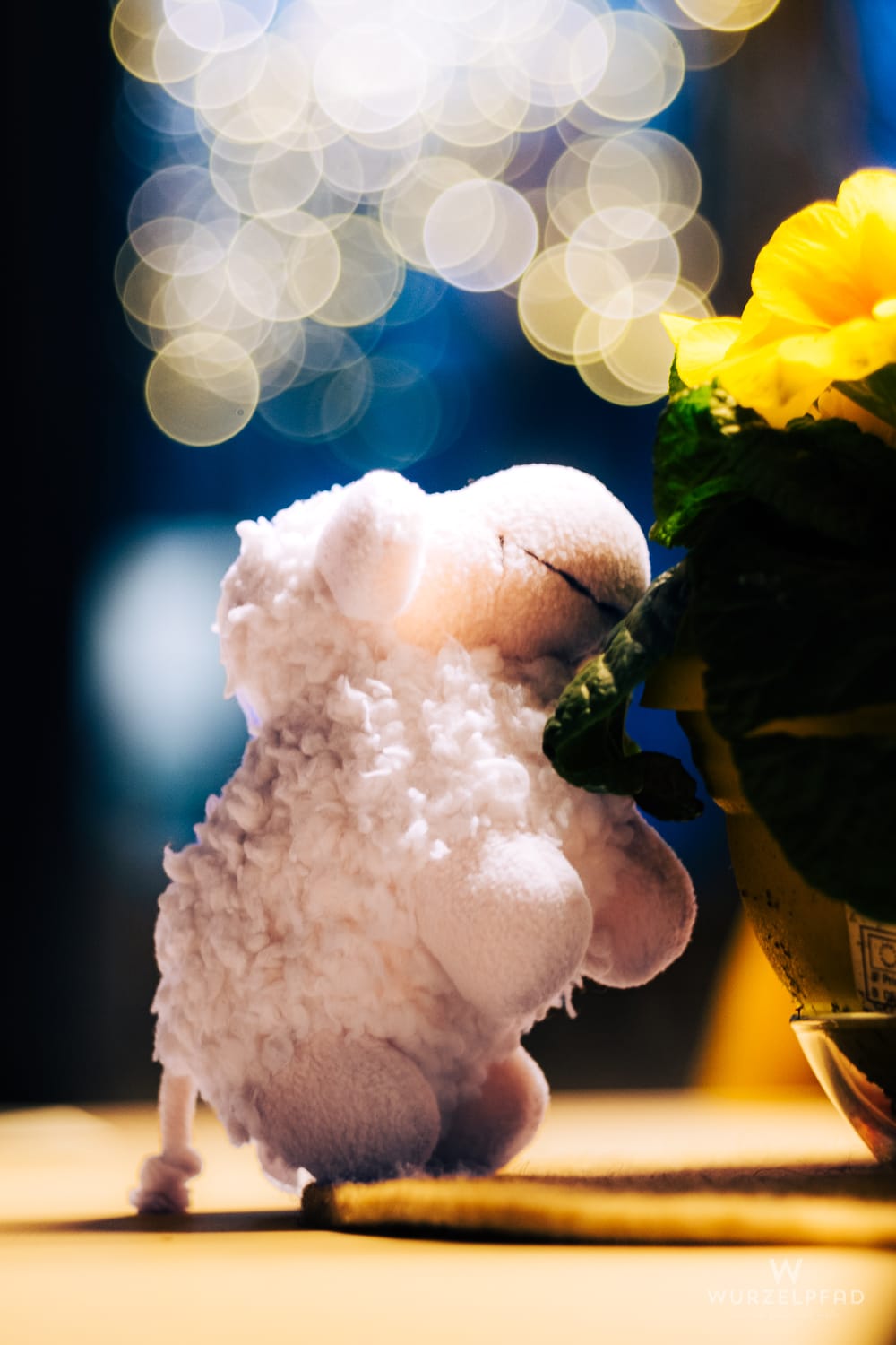 Entzückte Bärnadette, ein flauschiges Schaf-Plüschtier, bewundert eine leuchtend gelbe Blume. Sanfte Bokeh-Lichter im Hintergrund schaffen eine verträumte und magische Stimmung.