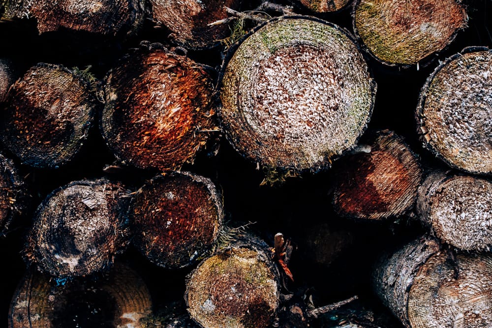 Nahaufnahme eines Holzstapels, der die rauen Stirnseiten von Baumstämmen mit Holzmaserung, Rinde und etwas Moos zeigt. Dunkle Zwischenräume.