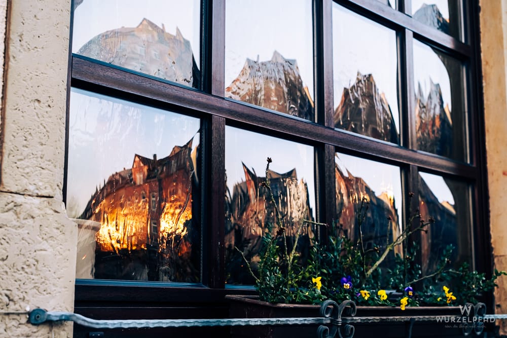 Dunkles Fenster mit mehreren Scheiben, die Häuser im goldenen Sonnenlicht spiegeln. Unten ein Blumenkasten mit grünen Pflanzen und bunten Stiefmütterchen.