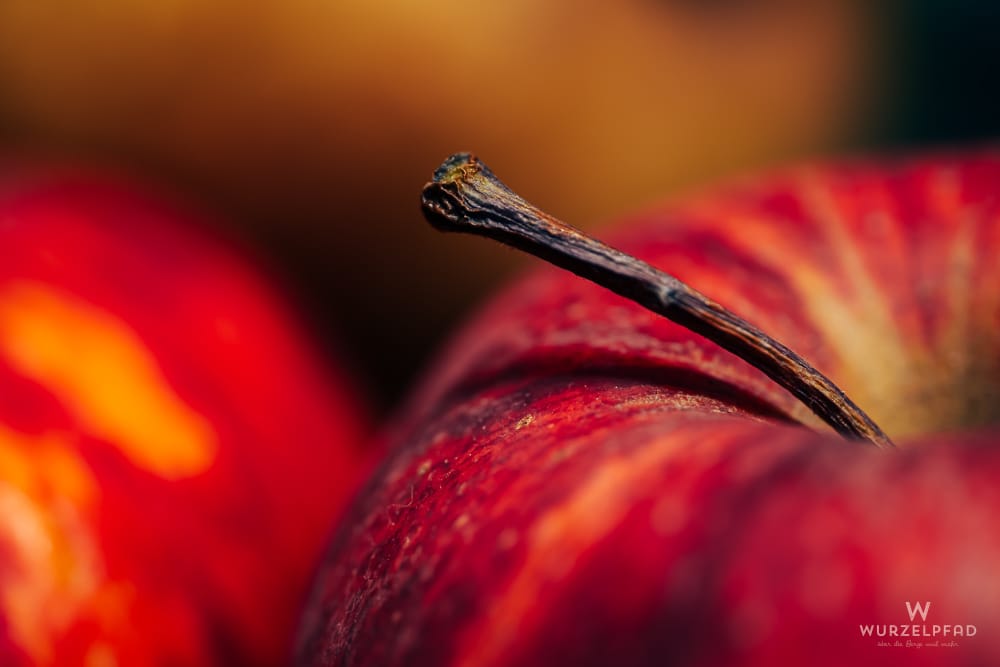 Makroaufnahme eines roten Apfels mit einem dunklen Stiel im Vordergrund. Im Hintergrund sind weitere rote und gelbe Äpfel unscharf zu sehen.