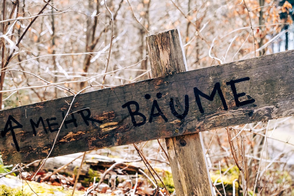 2026-03-28 Ebenhausen - Wolfratshausen