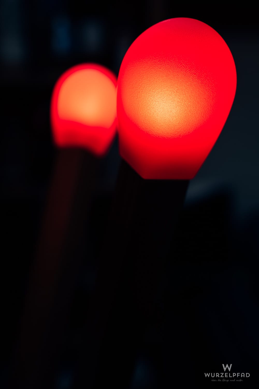 2026-03-30 Steichhölzer