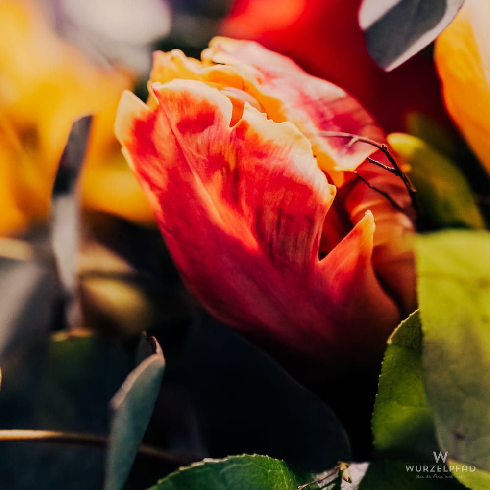 2026-04-02 Blumenstrauß