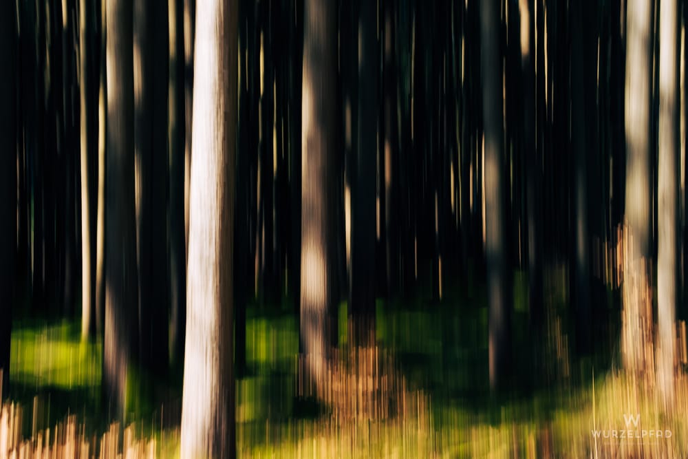 Abstrakte Darstellung eines Waldes mit vertikalen Streifen von Bäumen und grünem Unterholz.