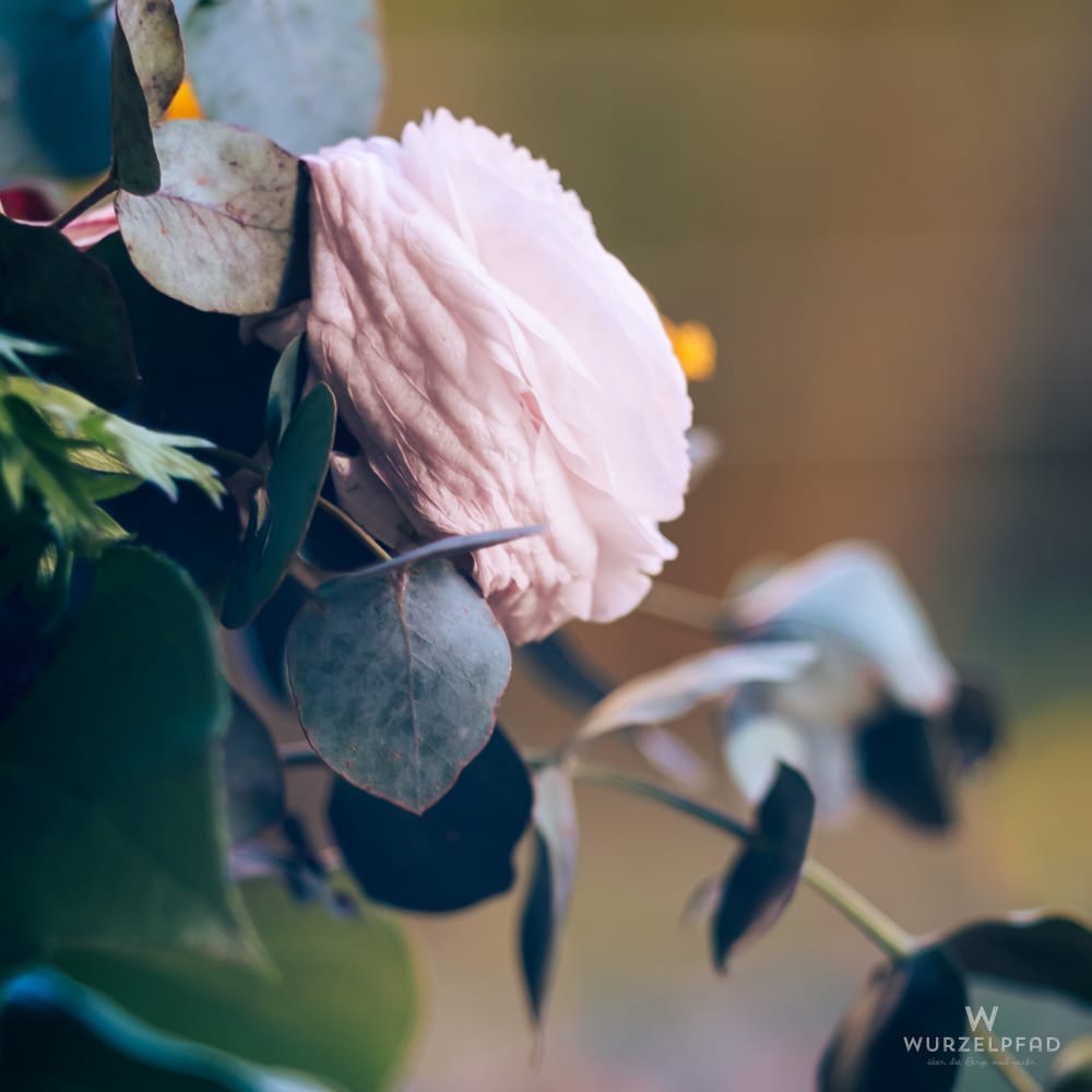 2026-04-08 Blumenstraußreste