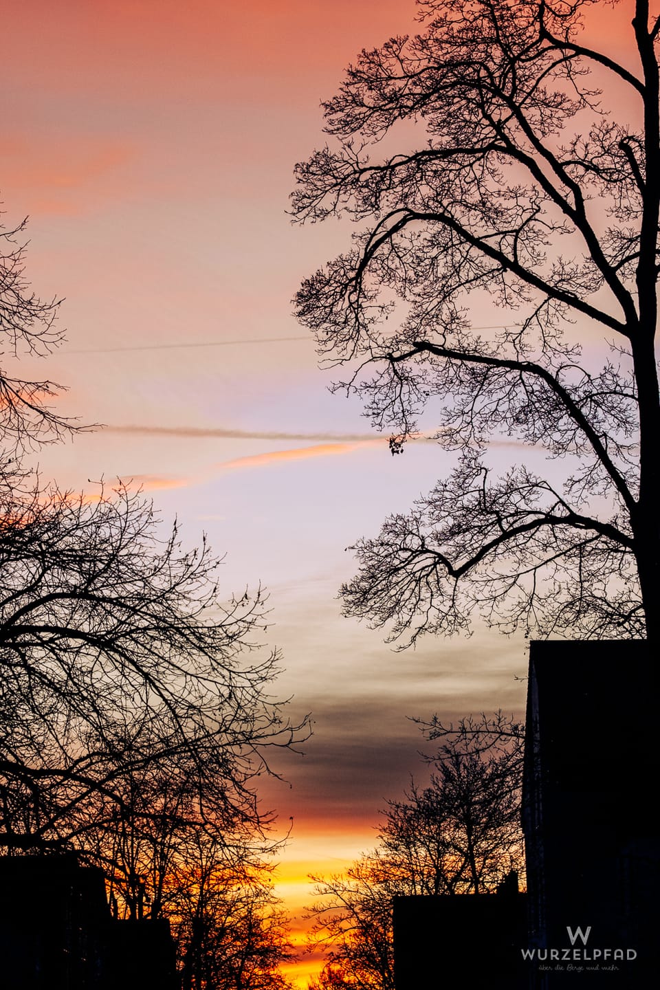 2026-01-14 - Morgenlicht