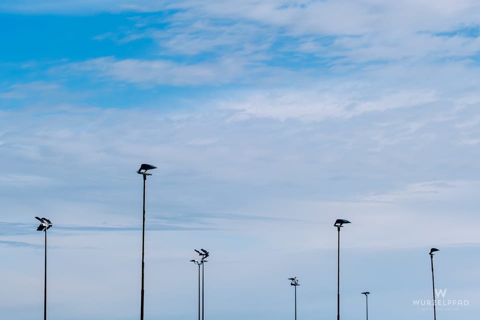 2026-01-15 - Sportplatzbeleuchtung