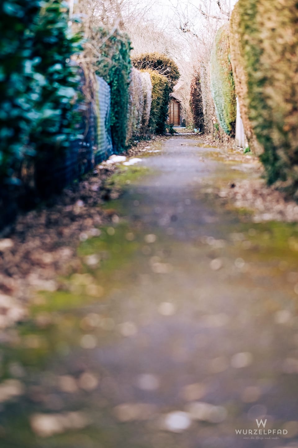 2026-01-27 - Gartenweg