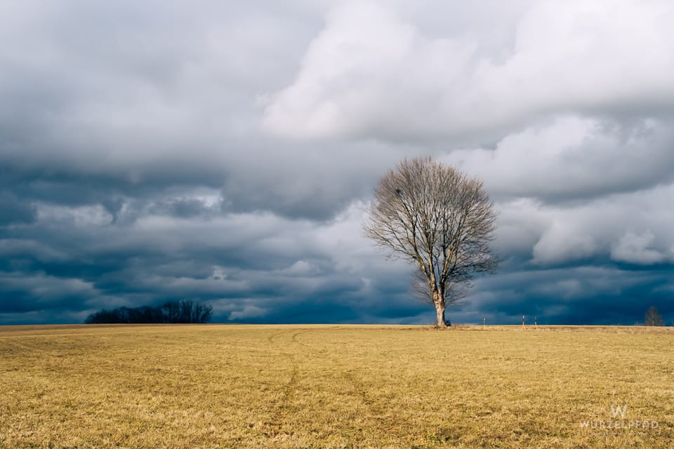 2026-02-07 Weiherrunde