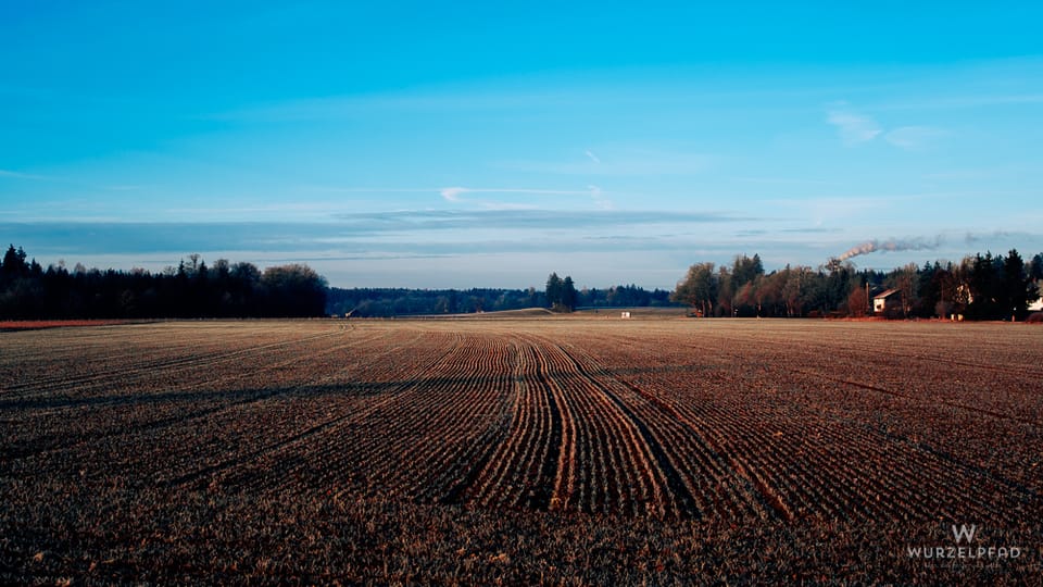2026-02-10 Morgenspaziergang