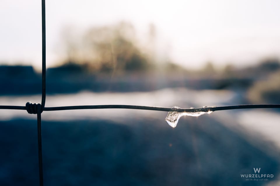 2026-02-18 Morgenspaziergang