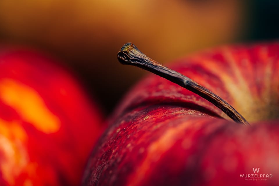 2026-03-09 Makroverzweiflung