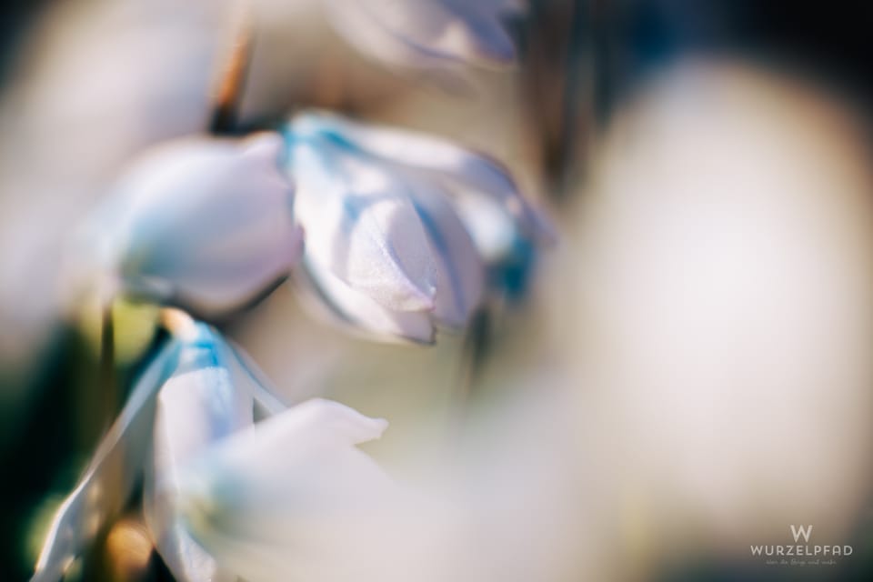 2026-03-10 Gartengemütlichkeit