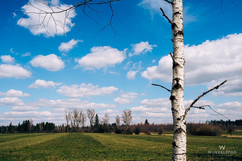 2026-04-03 An der Loisach