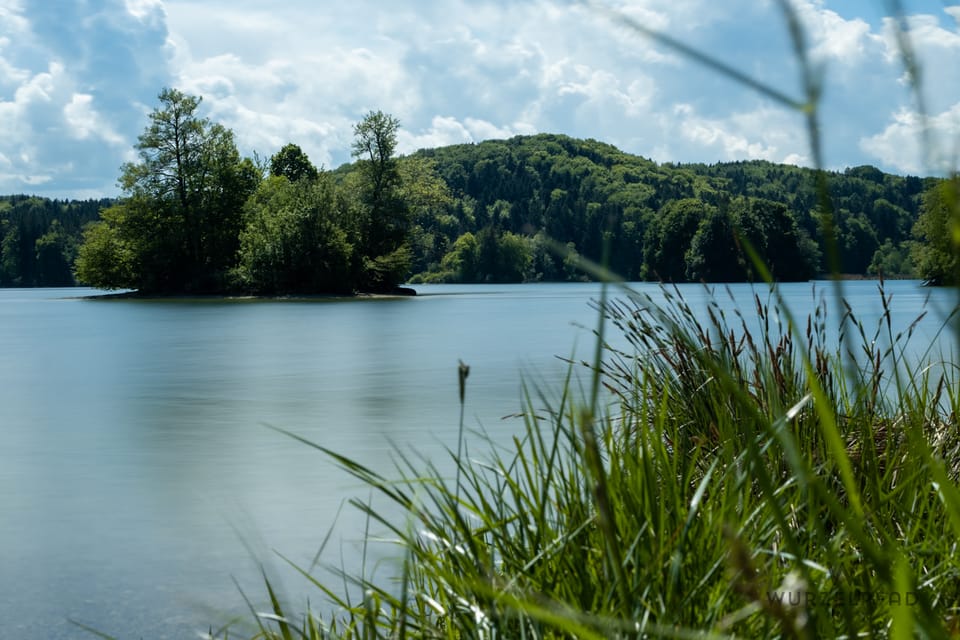 2026-05-09 Fieberklee-Wanderung